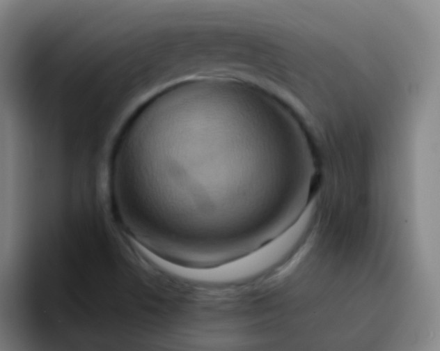 X0000093221506200710101335