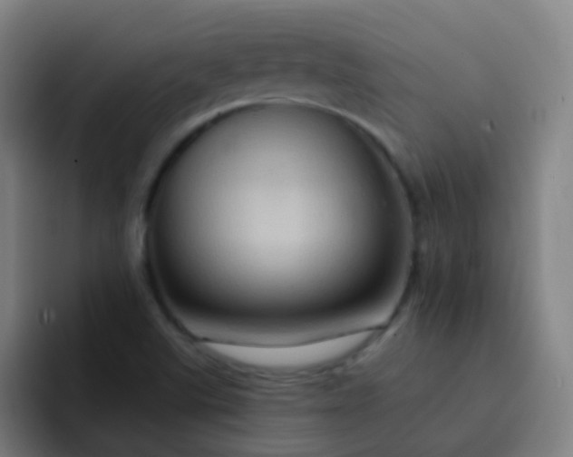 X0000093221507200710101335