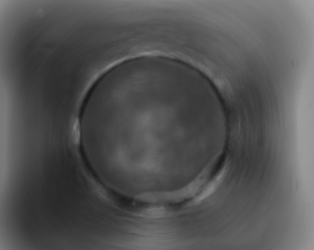 X0000093221509200710101335