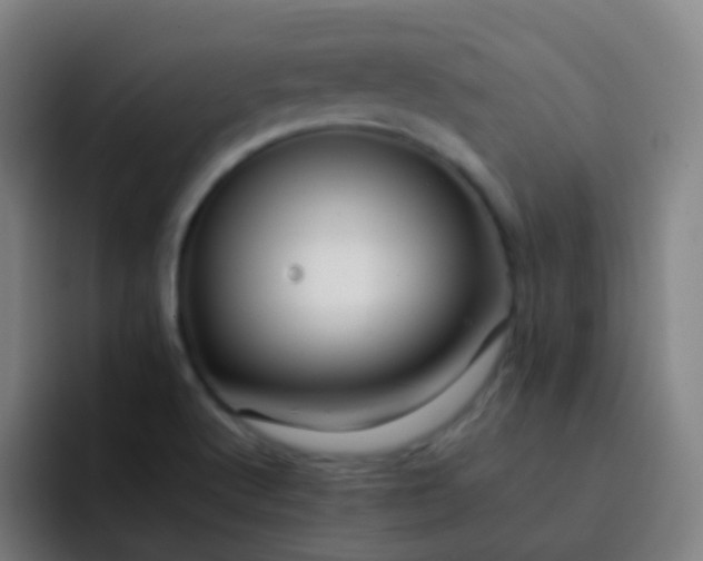 X0000093221512200710101335