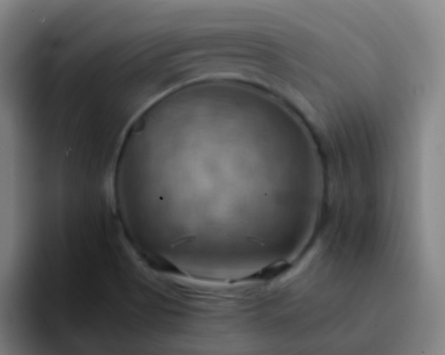 X0000093221513200710101335