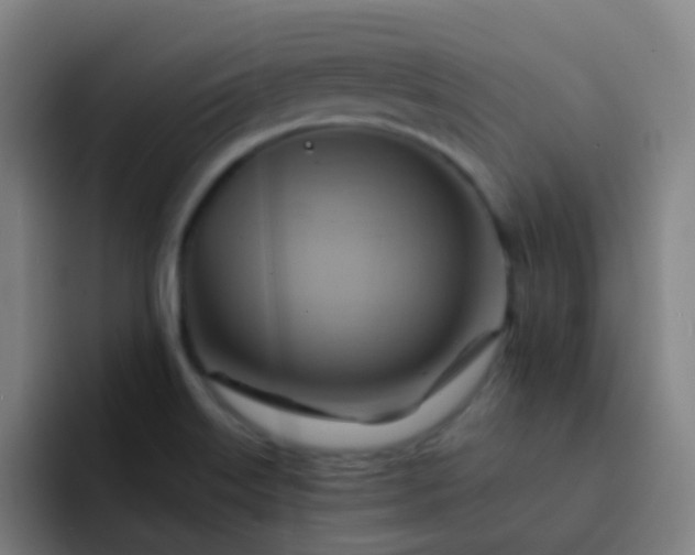 X0000093221515200710101335