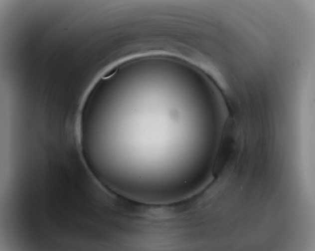 X0000093221516200710101335