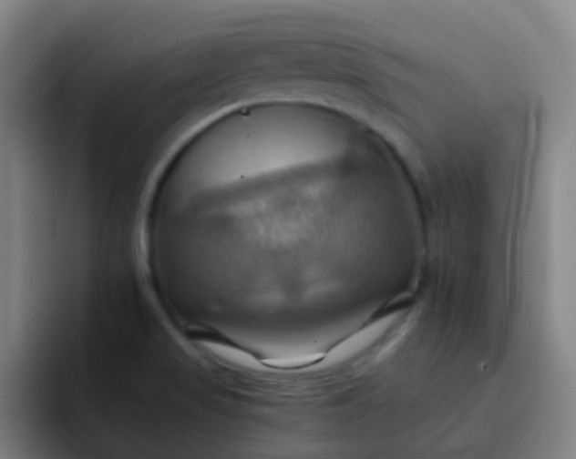 X0000093221517200710101335