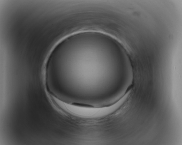 X0000093221519200710101335