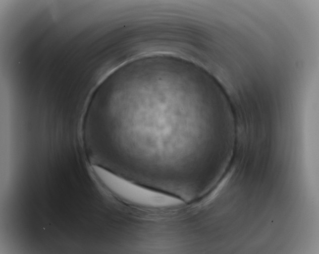 X0000093221521200710101335