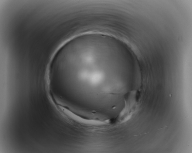 X0000093221522200710101335