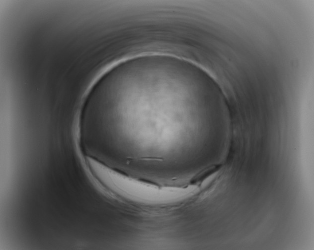 X0000093221523200710101335