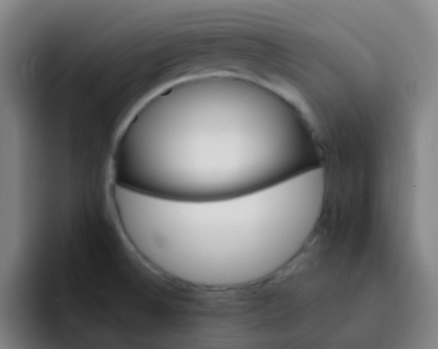 X0000093221524200710101335