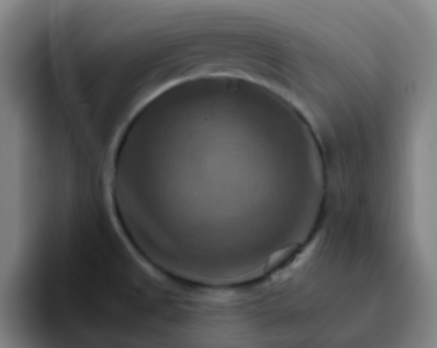 X0000093221525200710101335