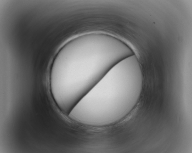 X0000093221526200710101335