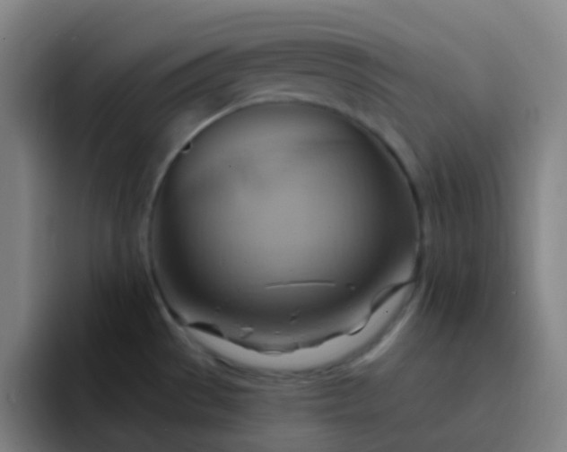 X0000093221529200710101335