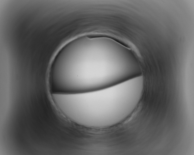 X0000093221530200710101335