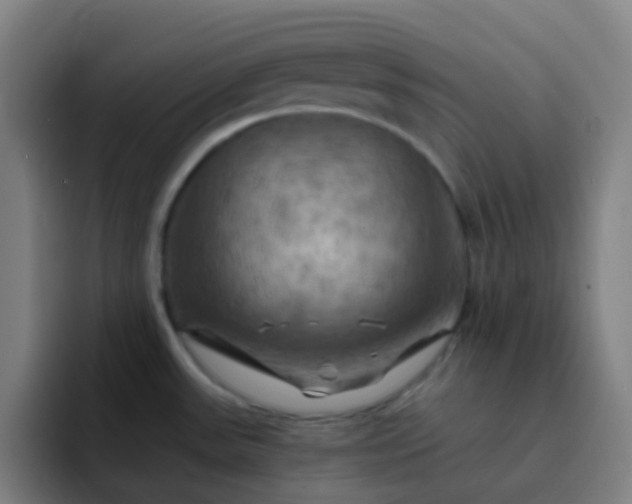 X0000093221531200710101335