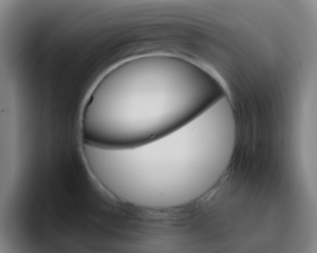 X0000093221532200710101335