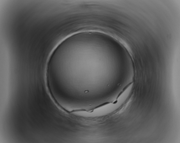 X0000093221533200710101335