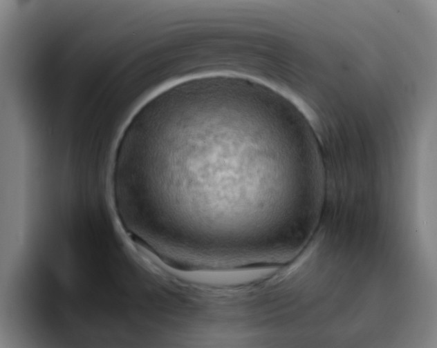 X0000093221534200710101335