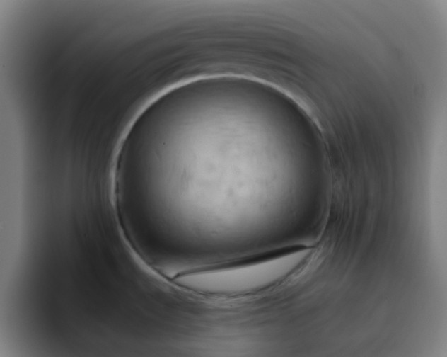 X0000093221535200710101335