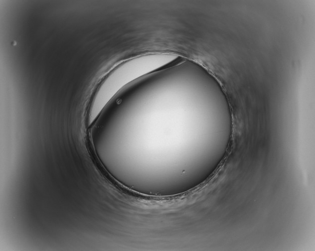 X0000093220005200710171408