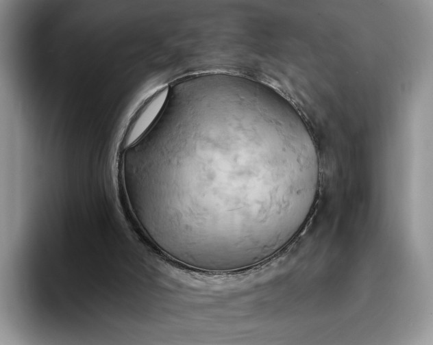 X0000093220006200710171408