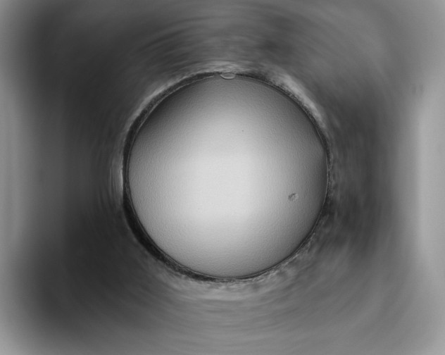 X0000093220011200710171408