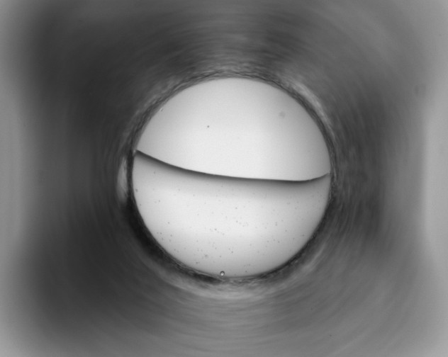 X0000093220020200710171408