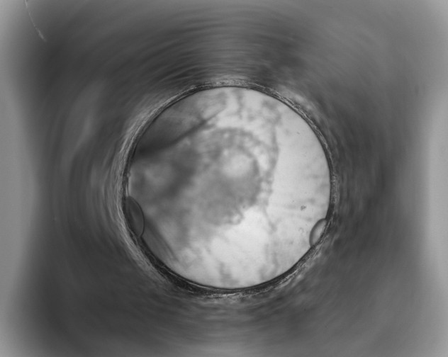 X0000093220049200710171407