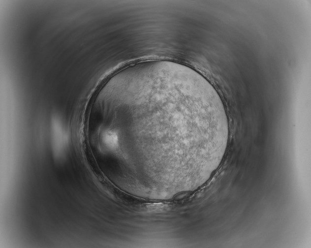 X0000093220050200710171407