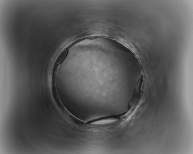 X0000093220055200710171407