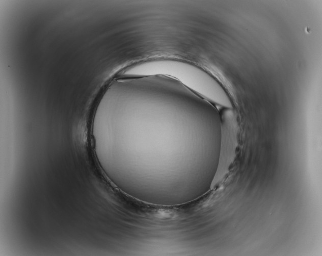 X0000093220060200710171407