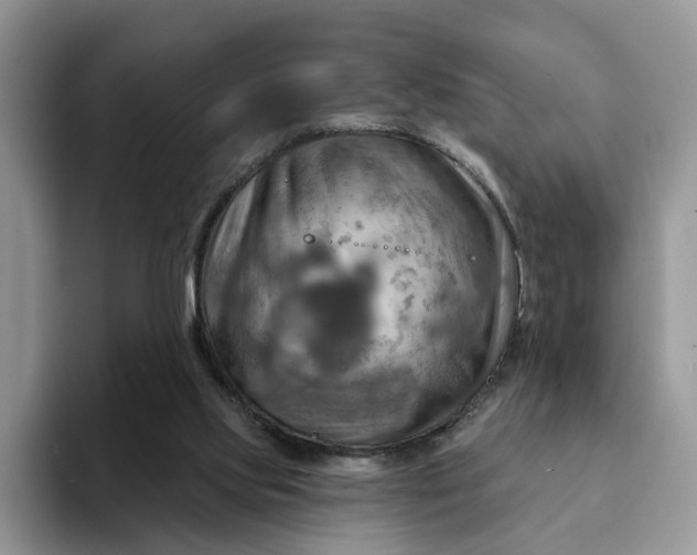 X0000093220061200710171407