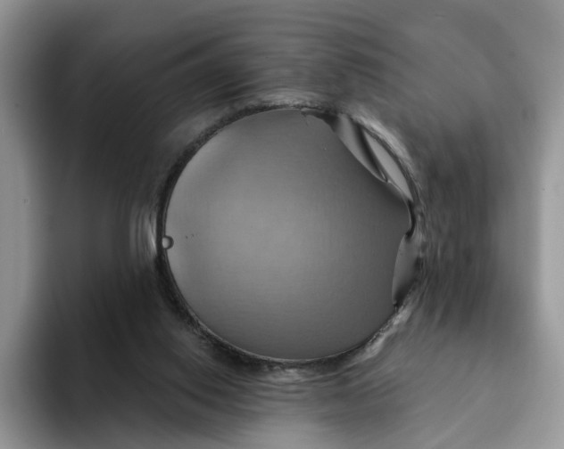 X0000093220062200710171407