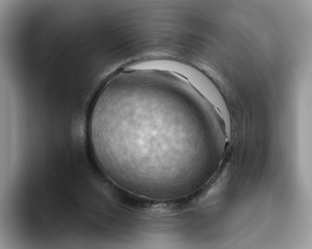 X0000093220064200710171407