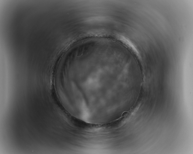 X0000093220065200710171407