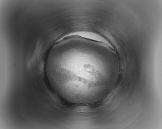 X0000093220066200710171407