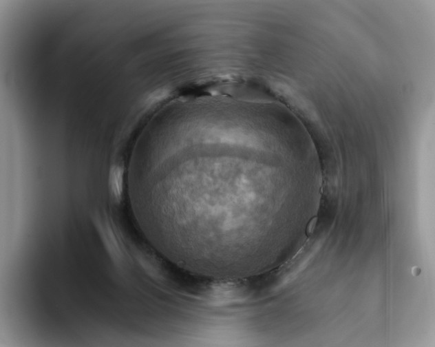 X0000093220070200710171407