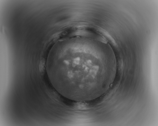 X0000093220073200710171407