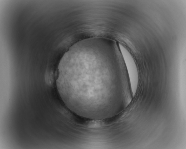 X0000093220077200710171407