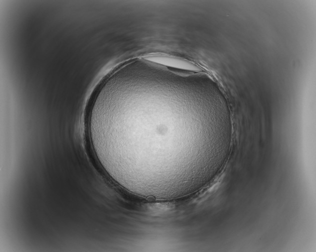 X0000093220102200710171407