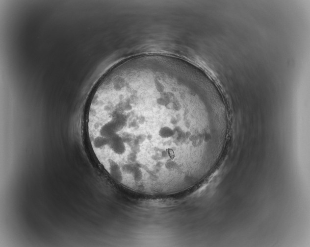 X0000093220103200710171407