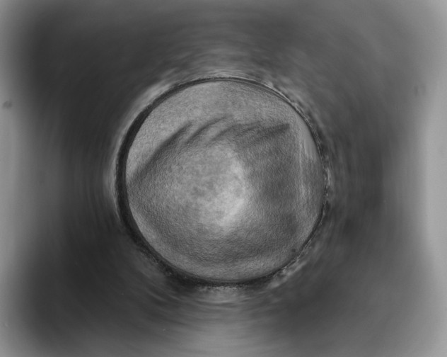 X0000093220104200710171407