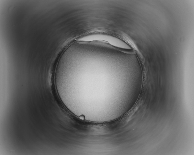 X0000093220106200710171407