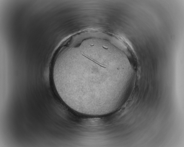 X0000093220108200710171407