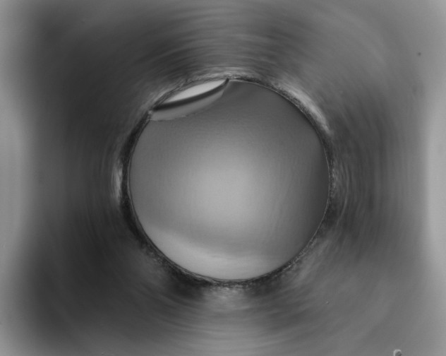 X0000093220110200710171407