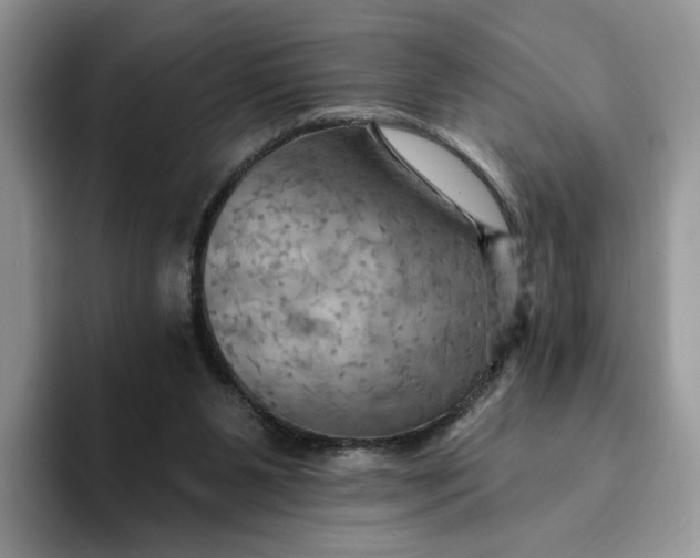 X0000093220111200710171407