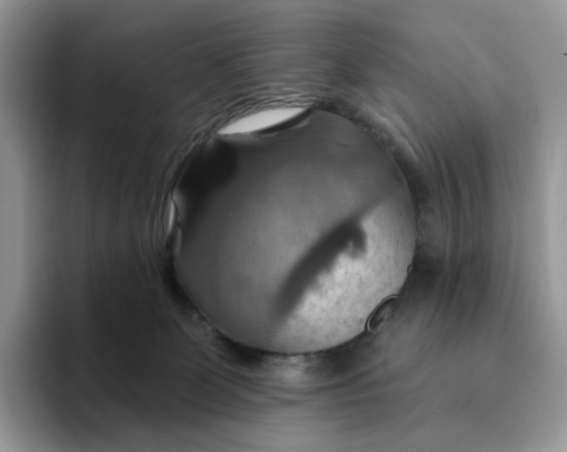 X0000093220131200710171406