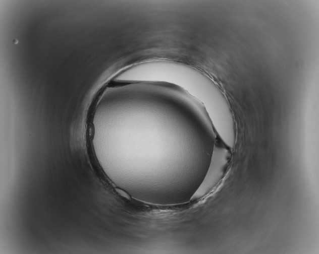 X0000093220150200710171406