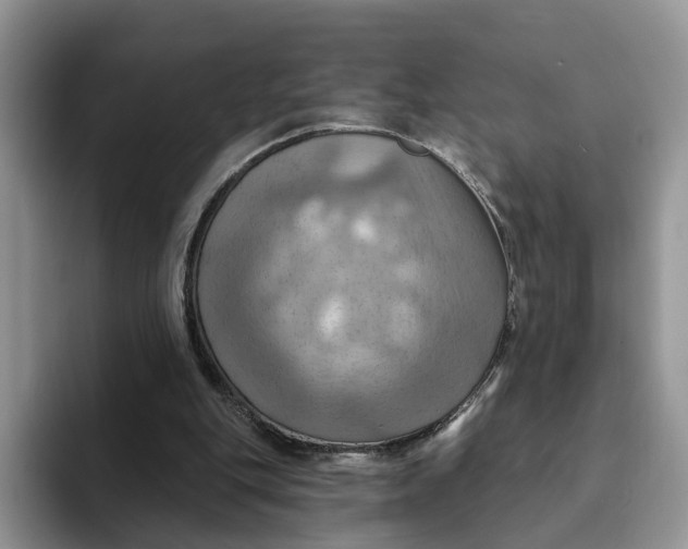 X0000093220151200710171406