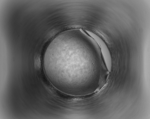 X0000093220158200710171406