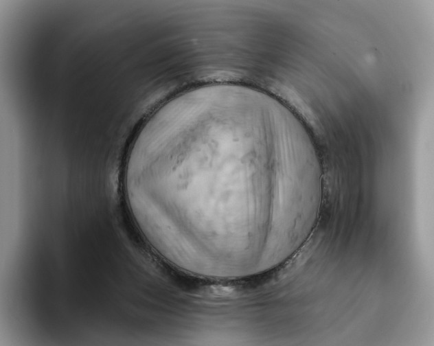 X0000093220159200710171406